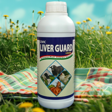 Picture of LIVER GUARD 1lit